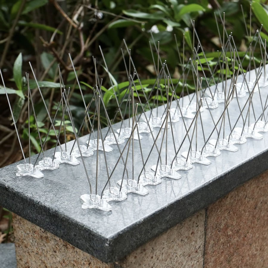 Bird Spikes | Bird Control Spikes | Bird Deterrent Spikes (per metre): image 4