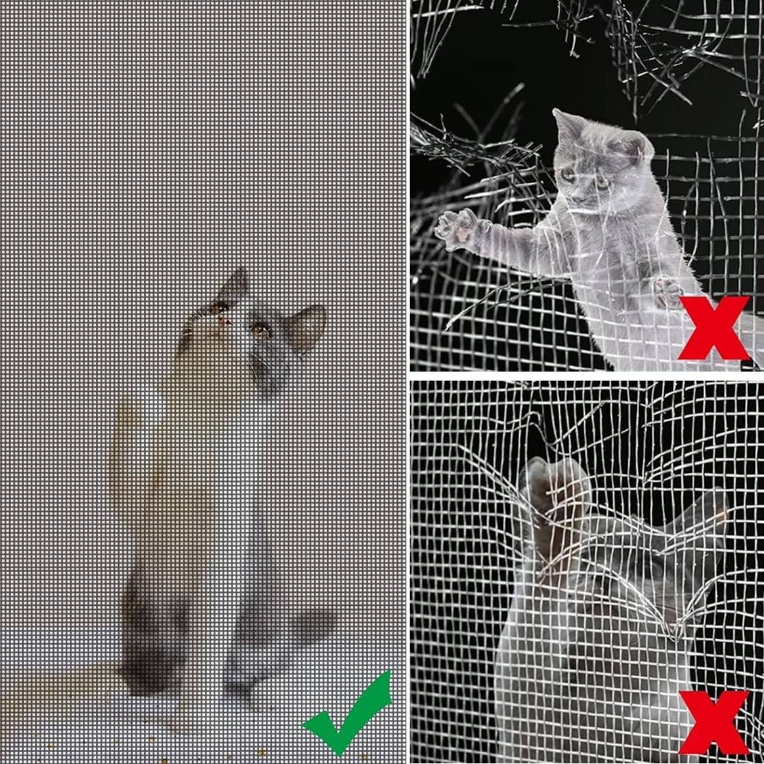 Cat Window Screen - Black Edge, 1000mm x 1000mm / 39" x 39": image 4