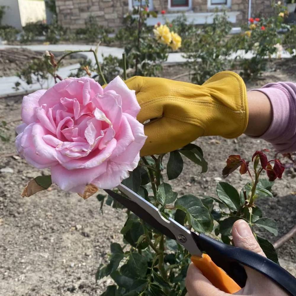 Gardeners Gloves (s-small): image 1
