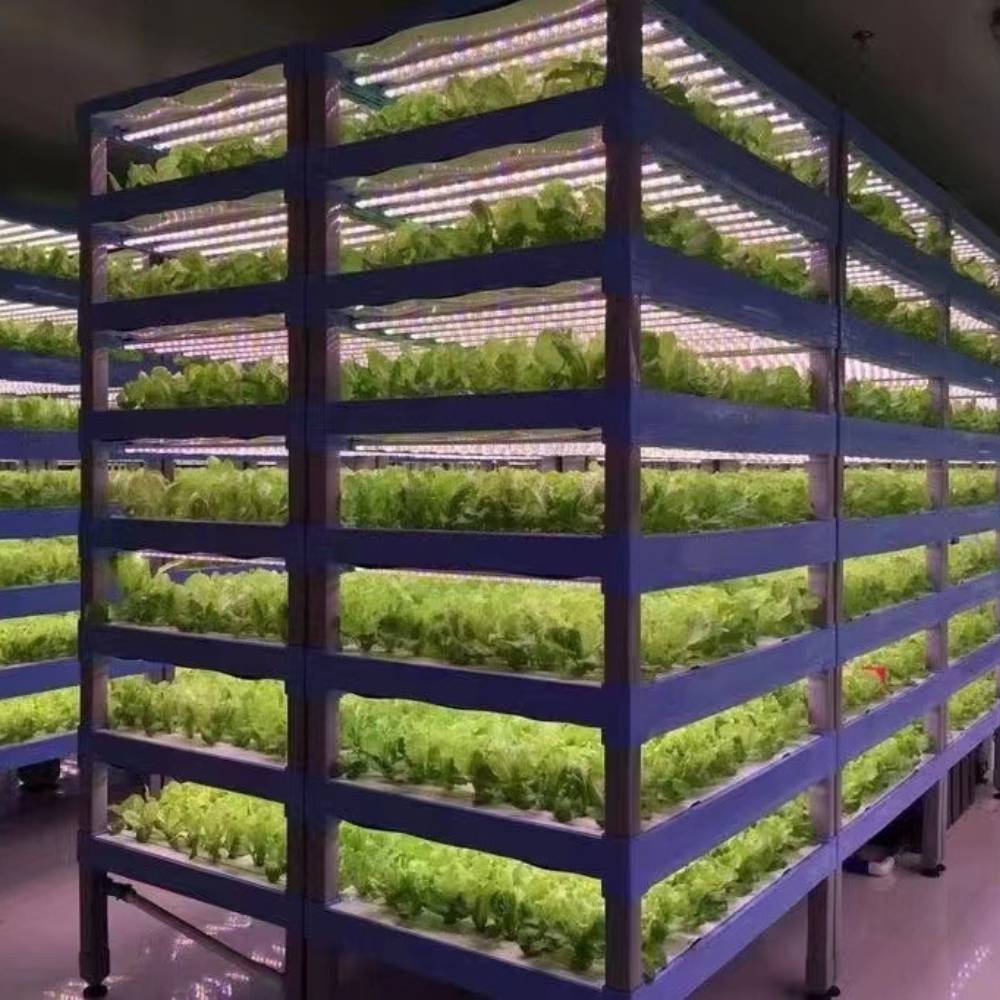 LED Grow Light Strips