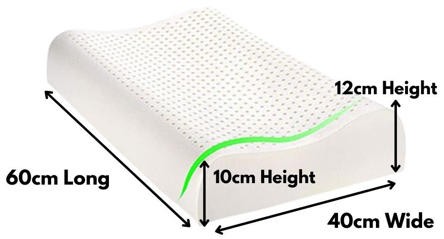 latex contour pillow dimensions