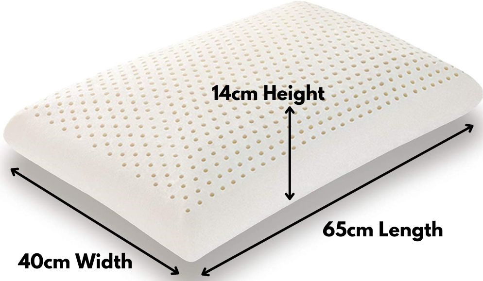 dunlop latex pillow dimensions cm